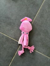Carlo review photo