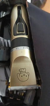 Paola review photo