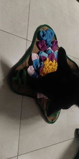 Chiara review photo