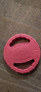 ilcanediluna review photo