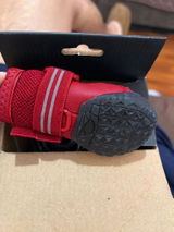 Paola Zambelli review photo