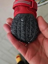 Pietro Falcone review photo