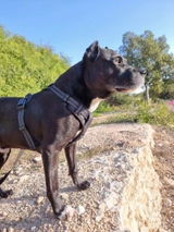 mattia_86 review photo