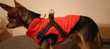 Alessia P. review photo