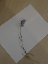 Esmeralda review photo