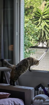 Marie-Charlotte Drieux review photo