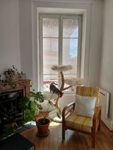 Laure review photo
