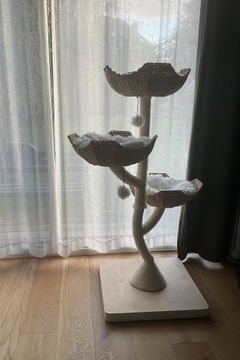 Review picture