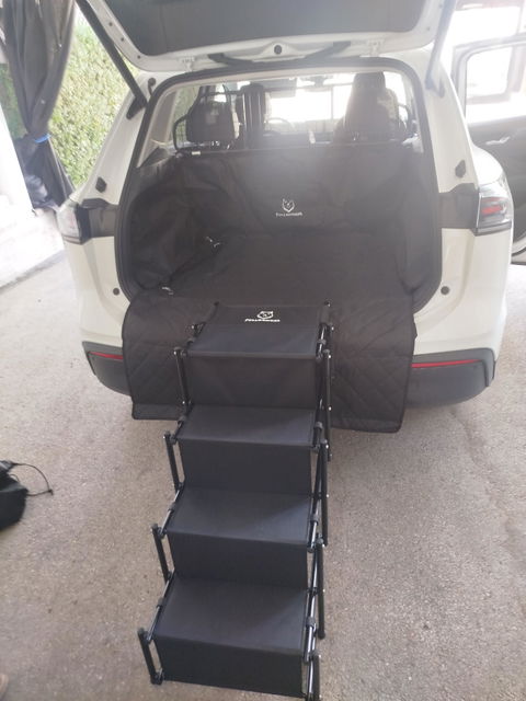 Hundetreppe Auto