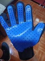 Felix Schulz review photo