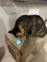 Uwe P. review photo