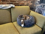 Isabell G. review photo
