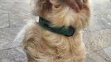 Andre G. review photo