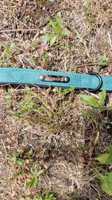 Alex K. review photo
