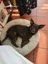 Alexandra F. review photo