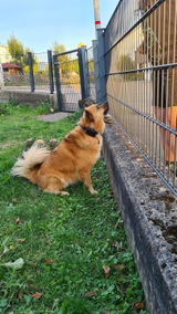 Volker S. review photo