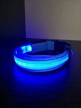 Pascal L. review photo