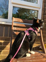Lena K. review photo