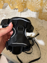 Johannes P. review photo
