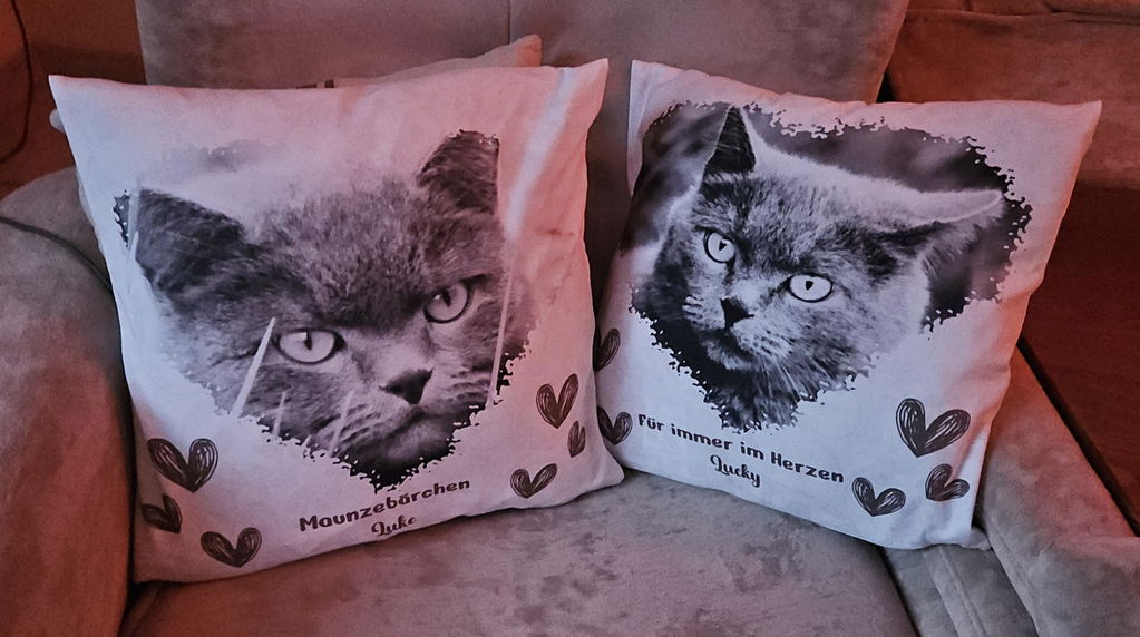 Personalisiertes Kissen | Herz | Katze