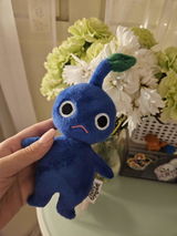 Zia review photo