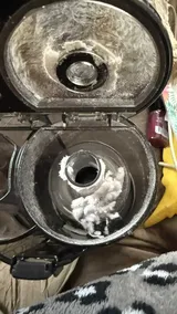S**a F**r review photo