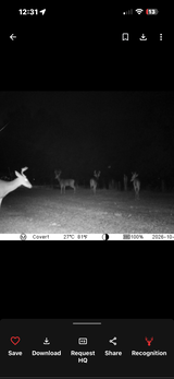 Anonymous review photo