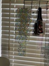 Kevin Tipton review photo