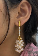 Avantika Bhatt review photo
