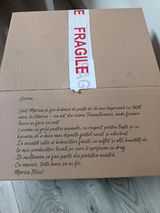 Zsolt Aciu review photo