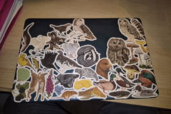 Review picture