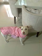 Canela review photo