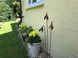 lauren review photo