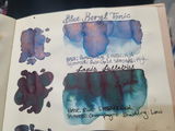 Hayley M review photo