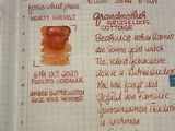 Snjezana Gorgievski review photo