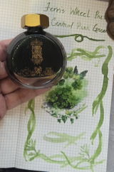 Patty M review photo