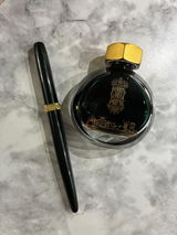 Carissa Gillett review photo