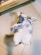 匿名 review photo