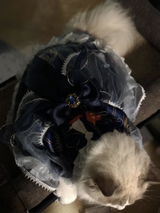 匿名 review photo