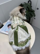 匿名 review photo
