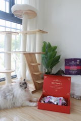 匿名 review photo