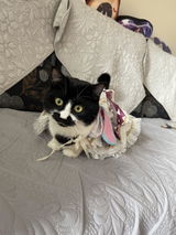 匿名 review photo