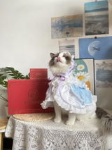匿名 review photo