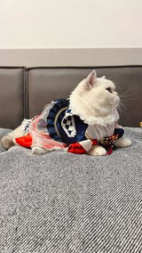 匿名 review photo