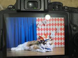 匿名 review photo