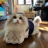 匿名 review photo
