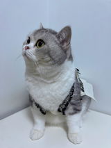 匿名 review photo