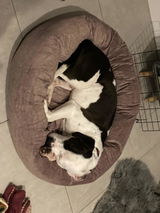 Orla review photo