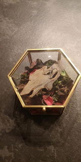 Annalisa review photo