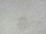 Adda L. review photo